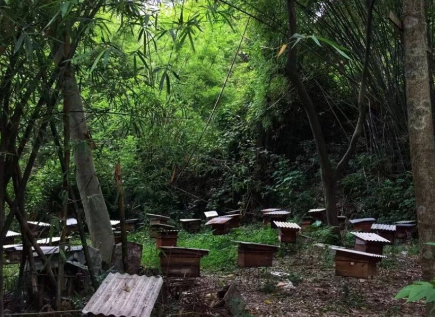 image007.png