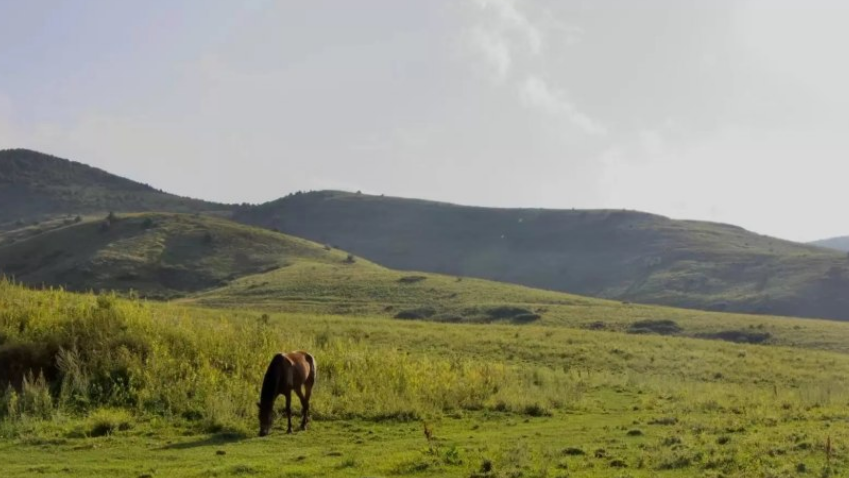 image009.png